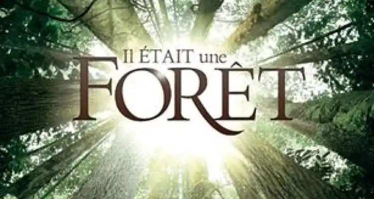 Couverture du livre “il était une foret”