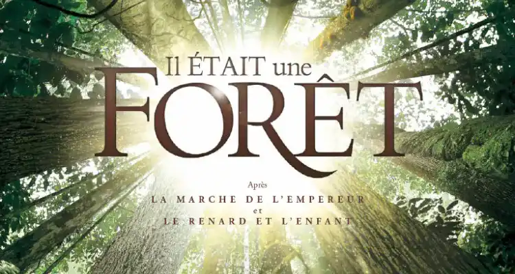 Couverture du film “il était une foret”