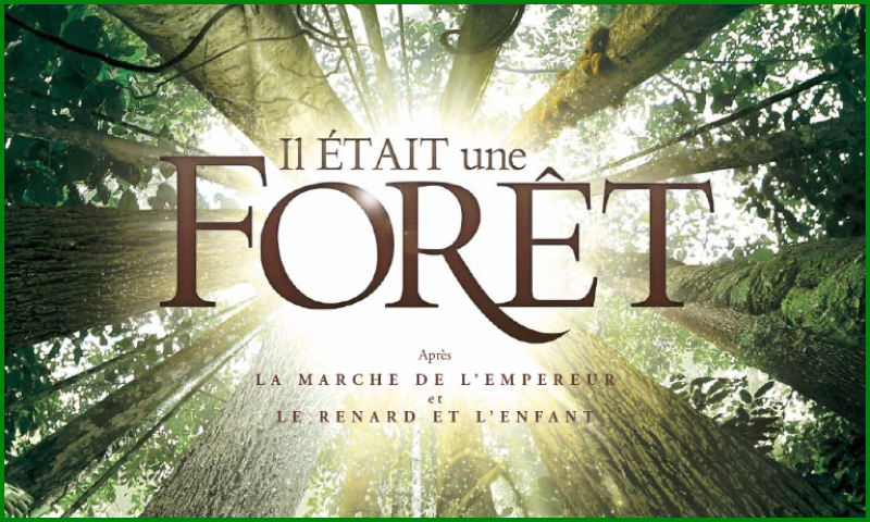 Il était une forêt